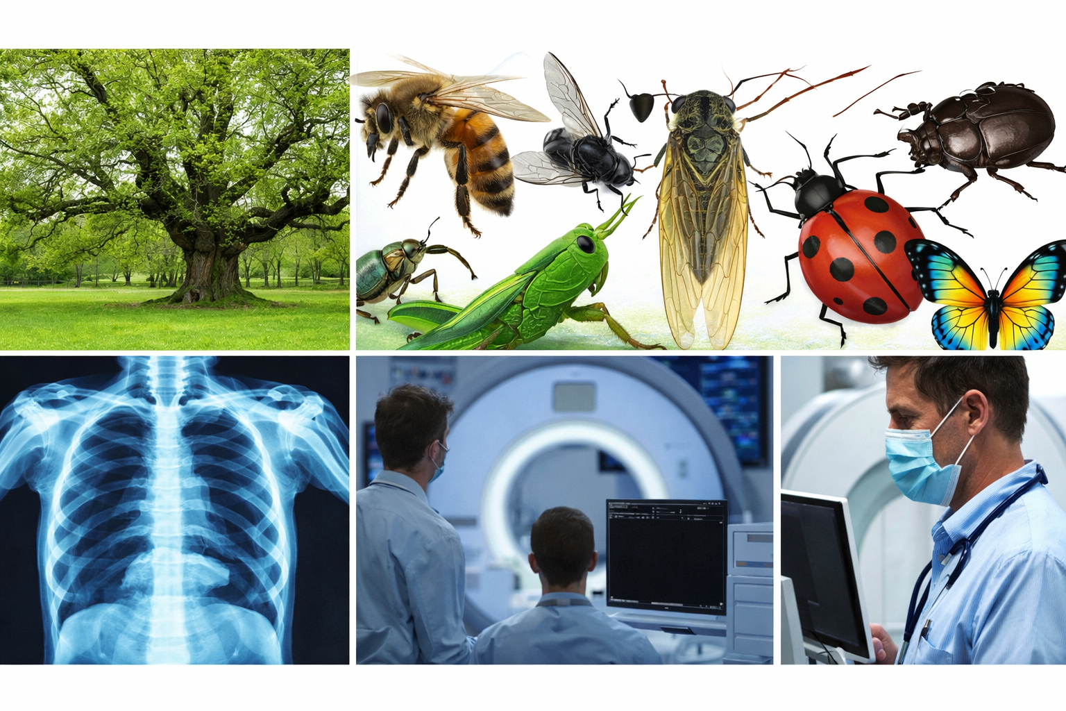 Whither Survival Instinct